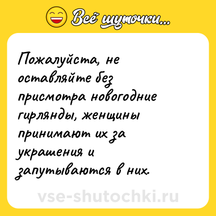 Шутка: Пожалуйста, не оставляйте без присмотра новогодние гирлянды, женщины принимают их за украшения и запутываются в них.