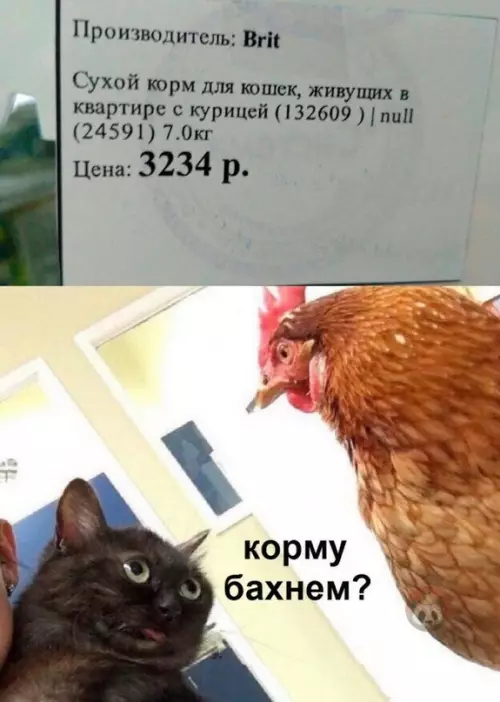 Смешная картинка №616891 Или это про хозяйку?))