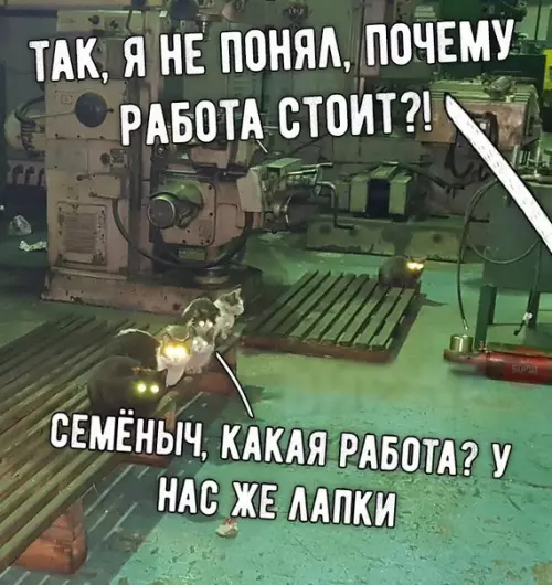 Смешная картинка №237679 Лапки, кот, кошки, завод