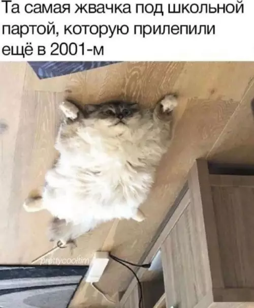 Смешная картинка №708856