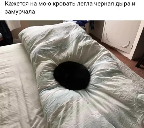 Смешная картинка №235390