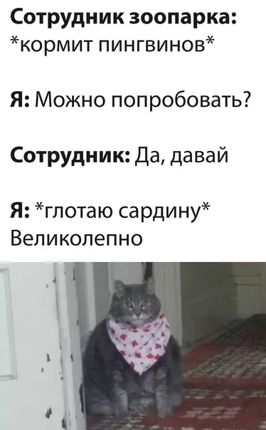 Смешная картинка №614568