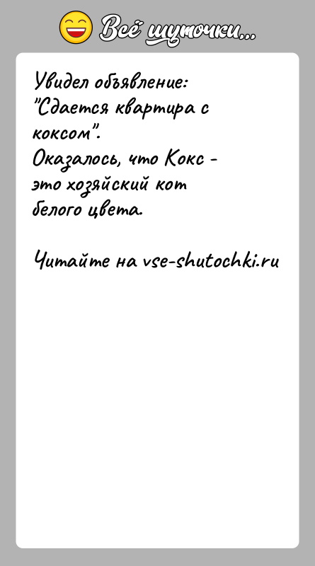 История: Увидел объявление: Сдается квартира с коксом .Оказалось, что Кокс - это хозяйский кот белого цвета.