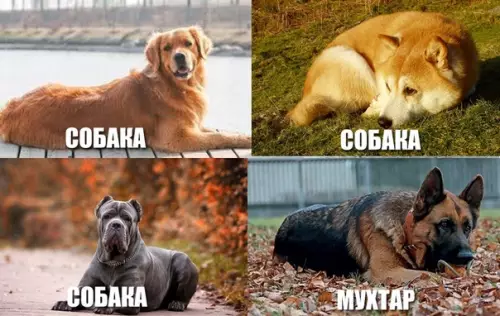 Смешная картинка №284410