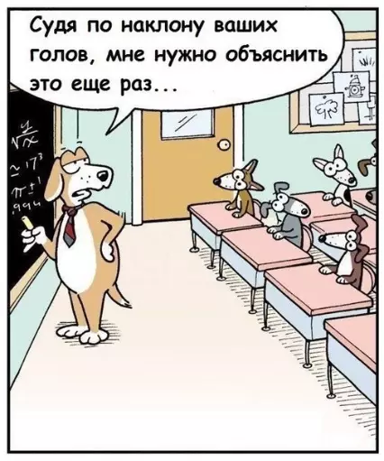 Смешная картинка №339162 Типичныe собакены. собаки