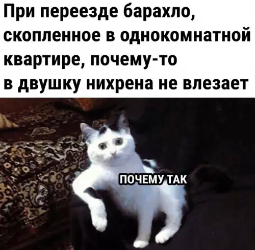 Смешная картинка №679112