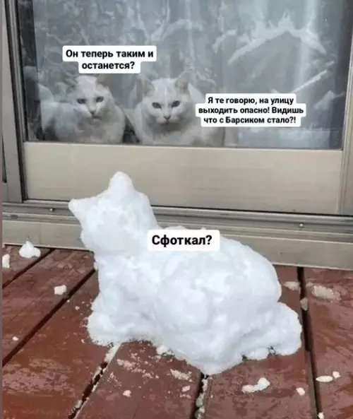Смешная картинка №703859