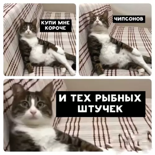 Смешная картинка №498915 Можешь идти, xoлoп