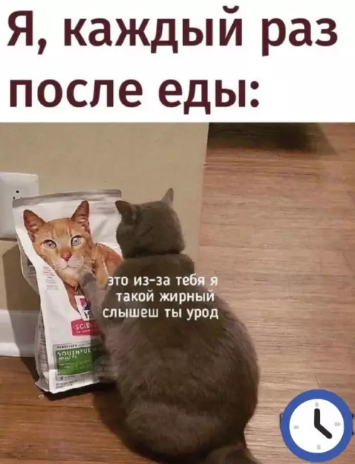 Смешная картинка №683650
