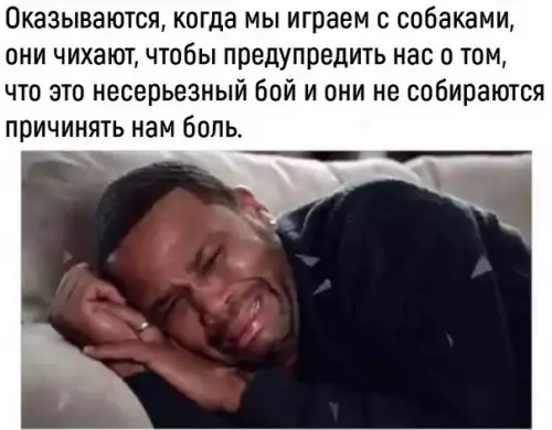 Смешная картинка №452235 Я думал они чихают потому что хотят чихнуть