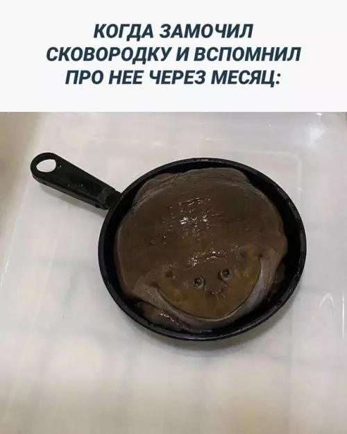 Смешная картинка №718235 Здравствуй , ну вот мы и встретились