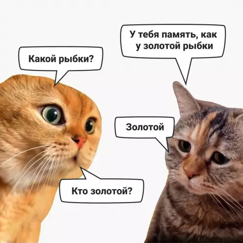 Смешная картинка №747424