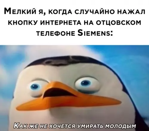 Смешная картинка №533198