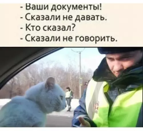 Когда секретность на уровне спецслужб 🕵️‍♂️ - - Ваши документы! - Сказали не давать. - Кто сказал?
