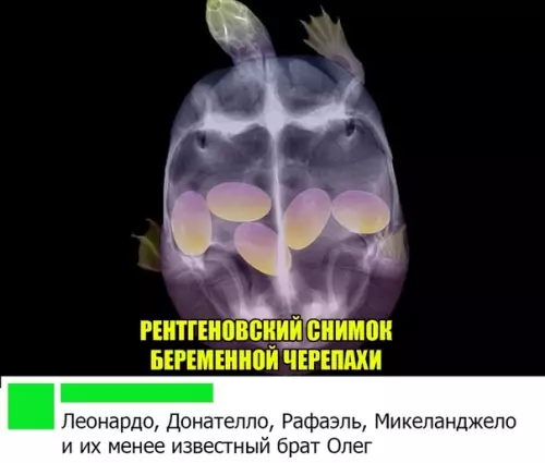 Смешная картинка №468781 Олежан, я то думал откуда ты взялся
