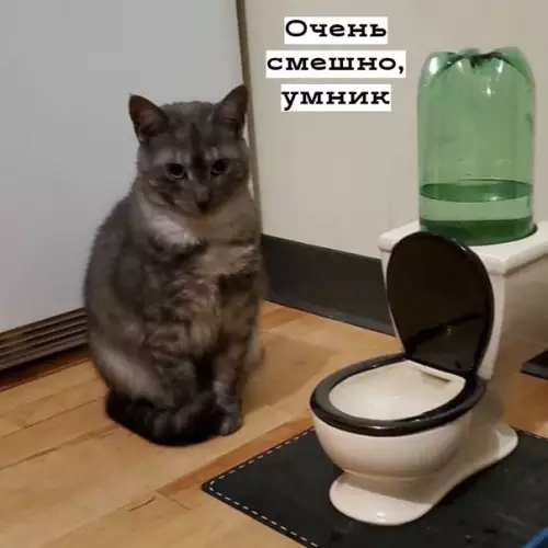Смешная картинка №480436 Ну зачем так