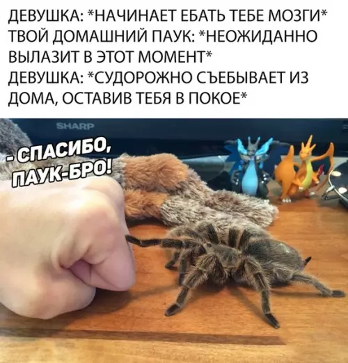 Смешная картинка №320457 Мне бы такого