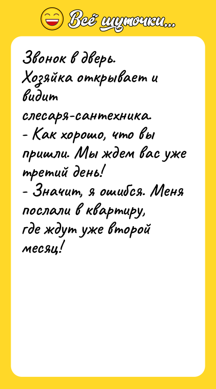 Звонок в дверь.    Хозяйка открывает и видит