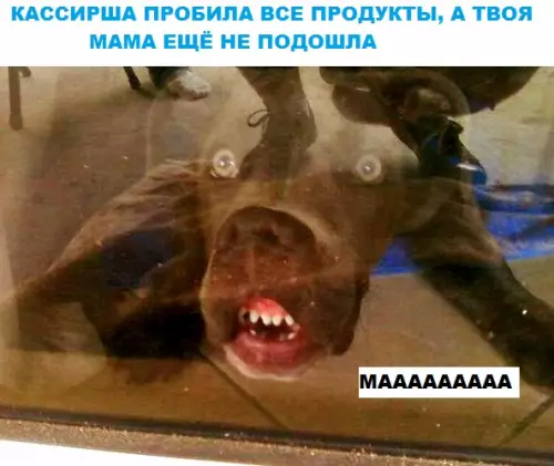Смешная картинка №287734
