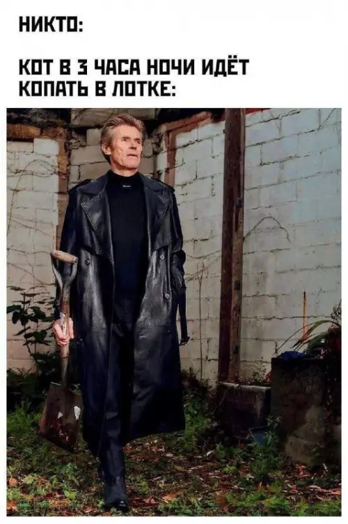 Смешная картинка №726894