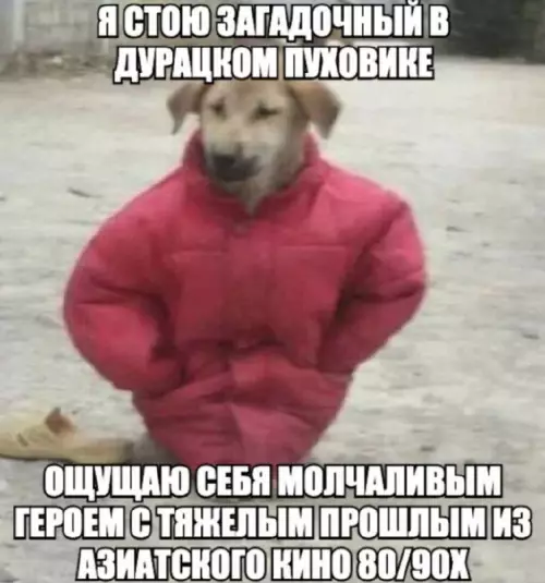Собака в пуховике