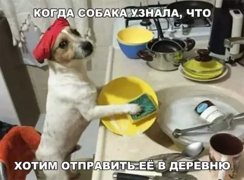 Смешная картинка №228305