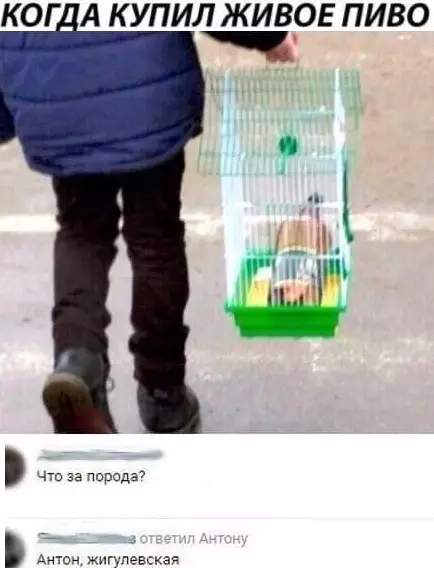 Смешная картинка №556506