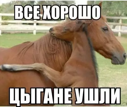 Смешная картинка №295571