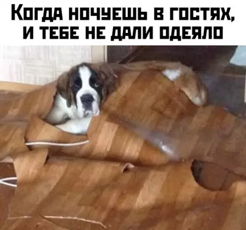 Смешная картинка №446169
