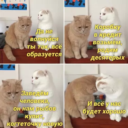 Смешная картинка №667380