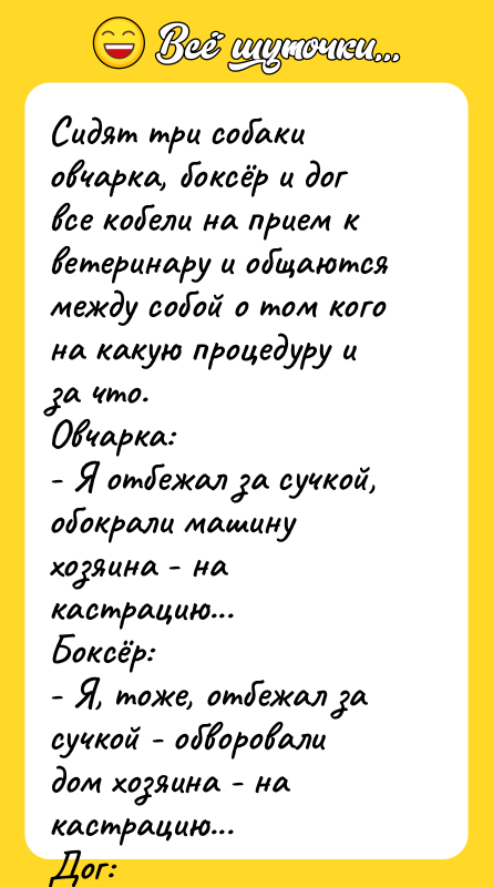 Сидят три собаки овчарка, боксёр и дог все кобели на