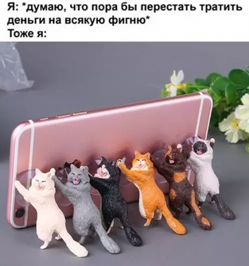 Смешная картинка №523657 Коротко обо мне: