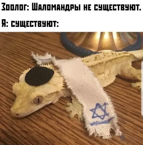 Смешная картинка №375110