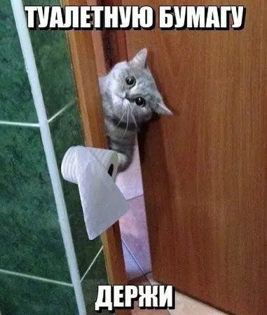 Смешная картинка №197495