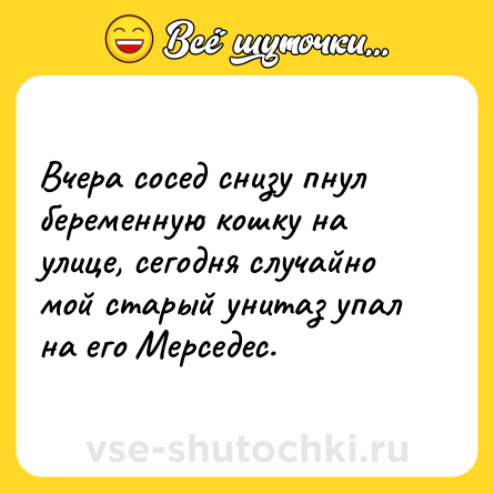 Шутка: Вчера сосед снизу пнул беременную кошку на улице, сегодня случайно мой старый унитаз упал на его Мерседес.