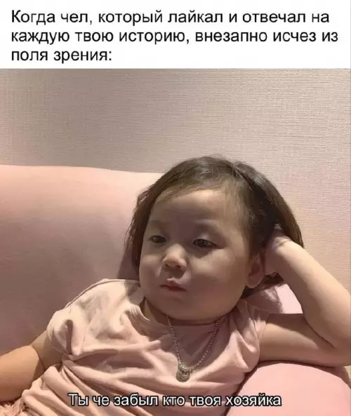 Куда он пропал? 🤨 Твоя хозяйка здесь! - Когда чел, который лайкал и отвечал на каждую твою историю,