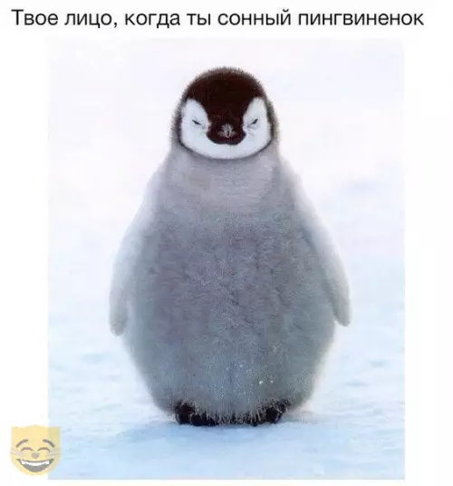 Смешная картинка №322268