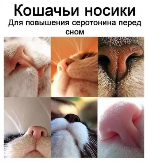 Смешная картинка №779951