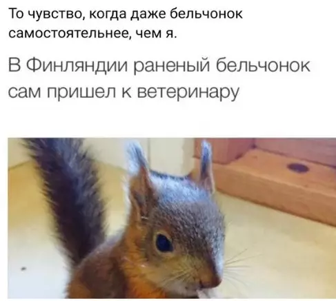 Смешная картинка №229320