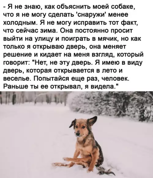 Смешная картинка №542085 Пpoблeмы coбaчникoв