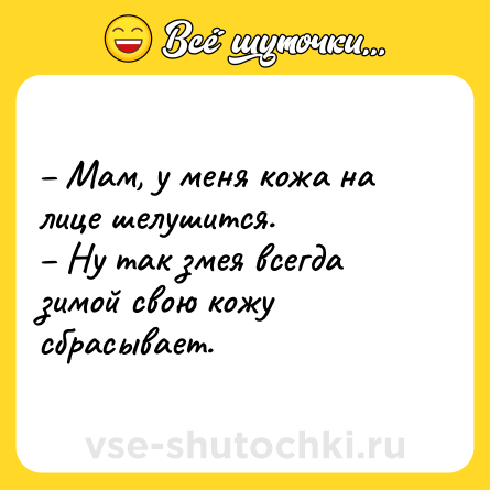 Шутка: – Мам, у меня кожа на лице шелушится.<br>– Ну так змея всегда зимой свою кожу сбрасывает.