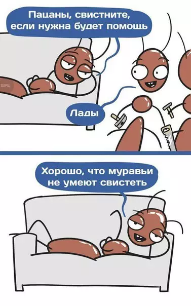 Смешная картинка №217372