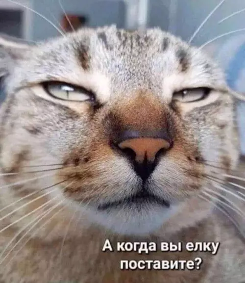 Смешная картинка №787319