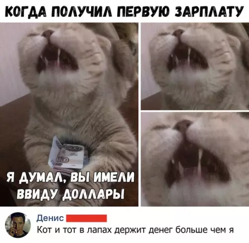 Смешная картинка №363872