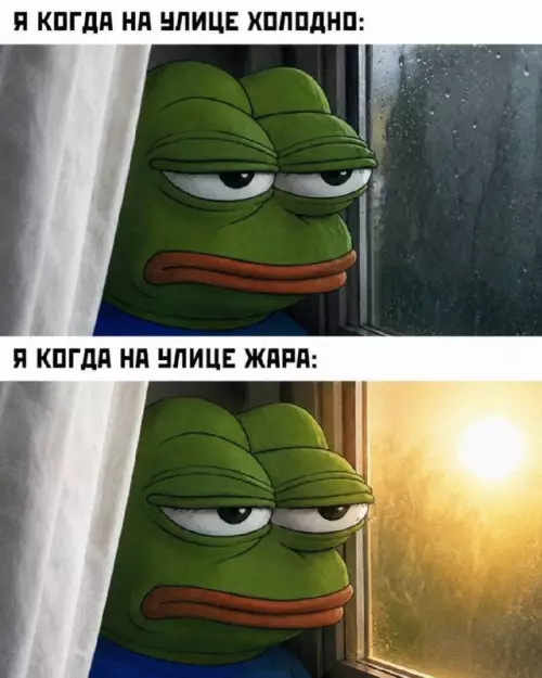 Твоё лицо, когда погода — полный отстой ⛈️☀️ - Я КОГДА НА УЛИЦЕ ХОЛОДНО: Я КОГДА НА УЛИЦЕ ЖАРА: