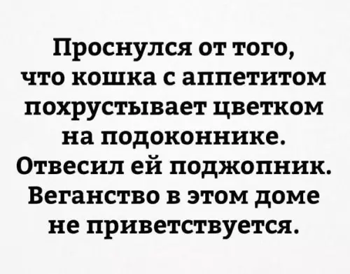 Смешная картинка №666531