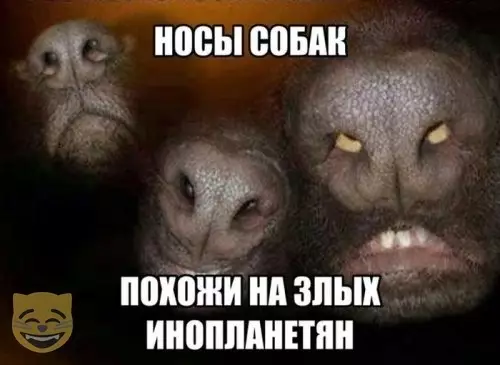 Смешная картинка №370814 #приколы #картинки #мемы ?