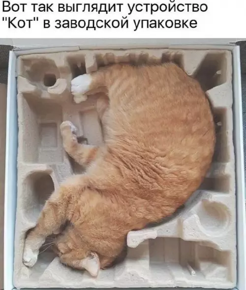 Смешная картинка №682116