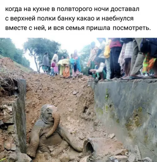 Смешная картинка №288672