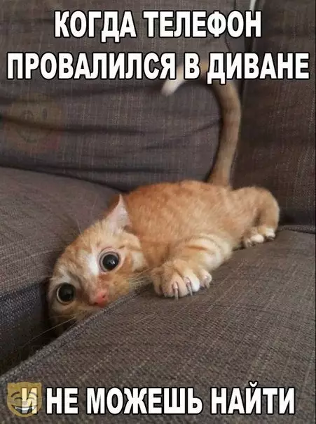Смешная картинка №383891 #приколы #картинки #мемы ?